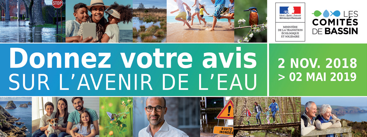 CDV 201