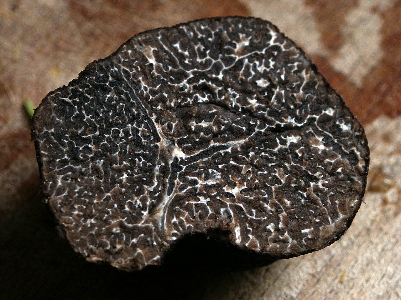 truffe hiver_choisis_fraiche_repas_noel_fete_CLCV