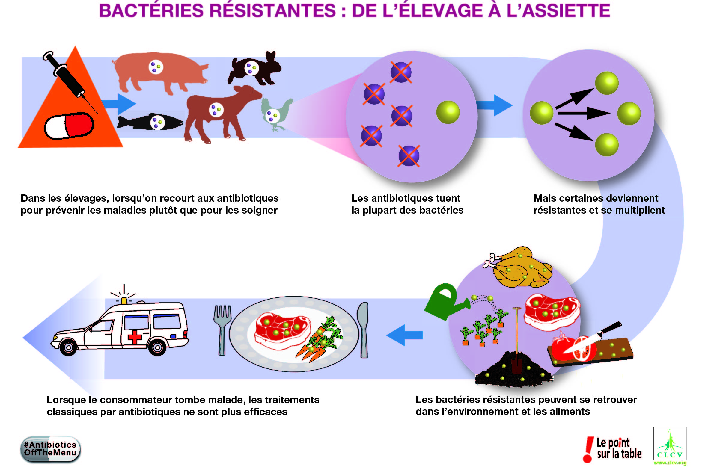 Bactéries résistantes