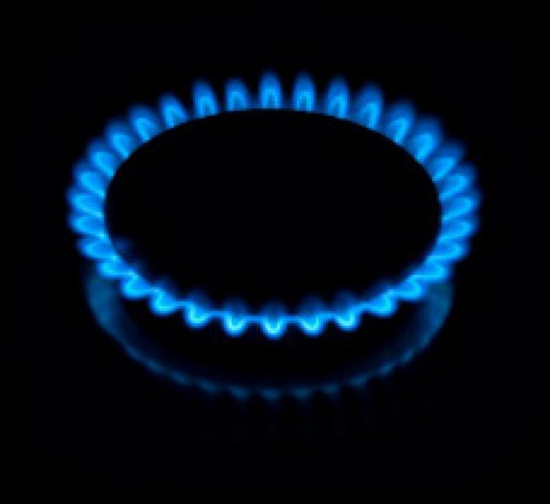 Prix du gaz au 1er janvier 2010 [ 29.12.2009 ]