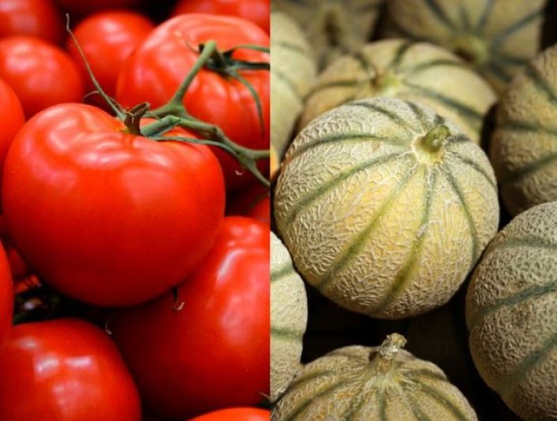 Tomates et melons : enquête qualité et prix