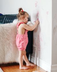 AdobeStock_406739608.jpeg