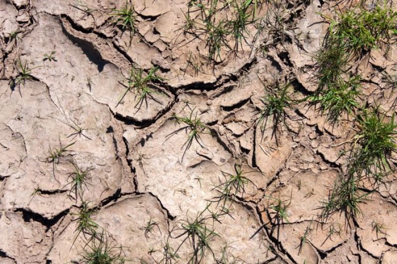 Plan Hulot - Sécheresse : La politique de l’eau doit être réformée