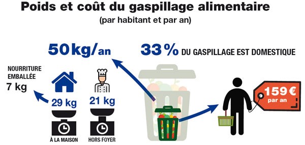 Infographie gaspillage_aliment_nourriture_poubelle_clcv_copy_copy