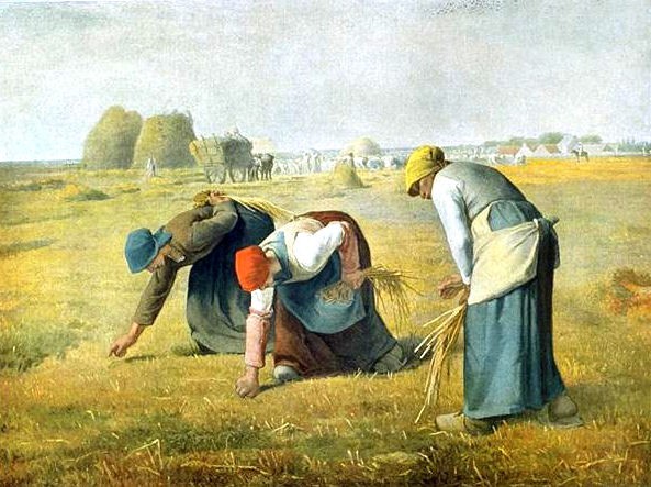 Les glaneuses  de Millet