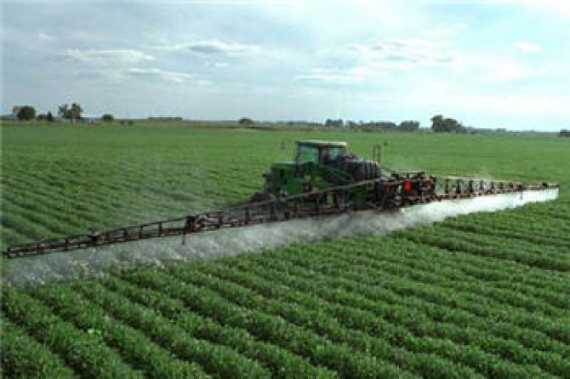 Le glyphosate : un herbicide « probablement cancérigène »