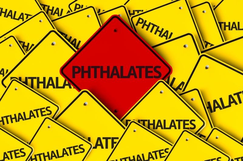 panneau phthalates