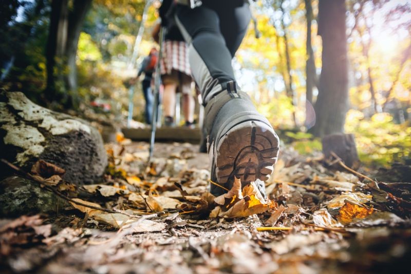 chaussure sentier