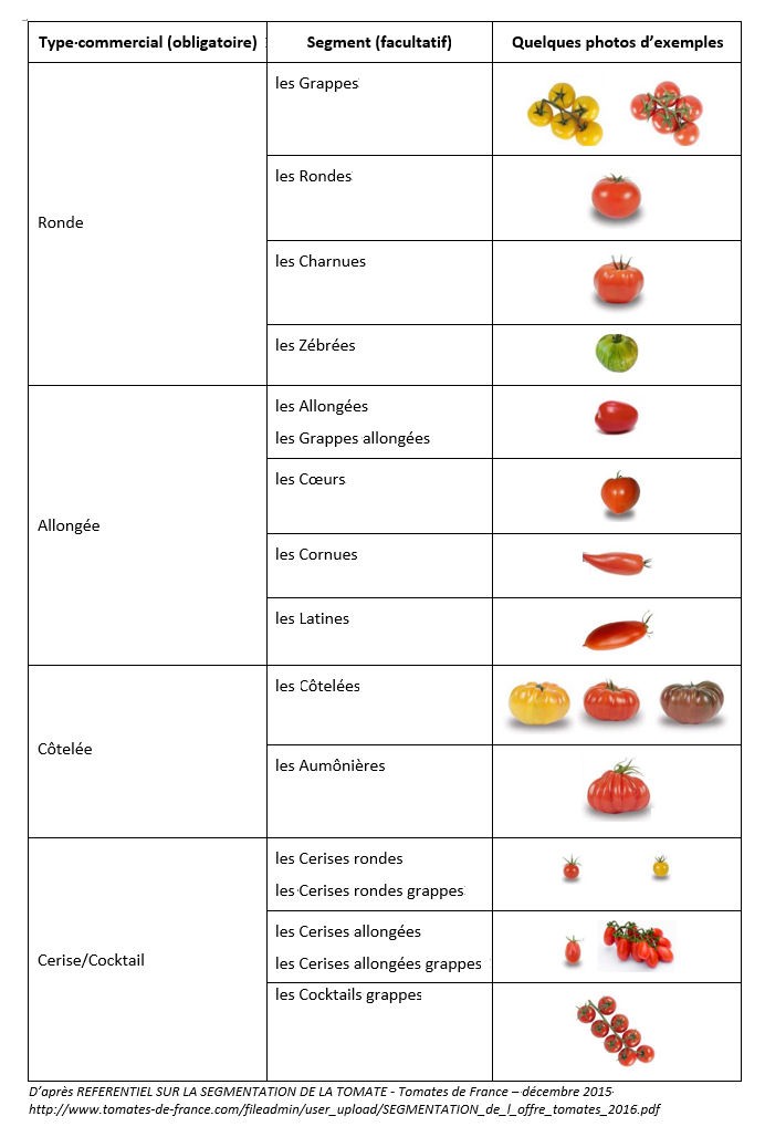 Referentiel tomates 2016