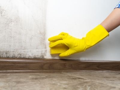 main avec gant éponge mur moisissure
