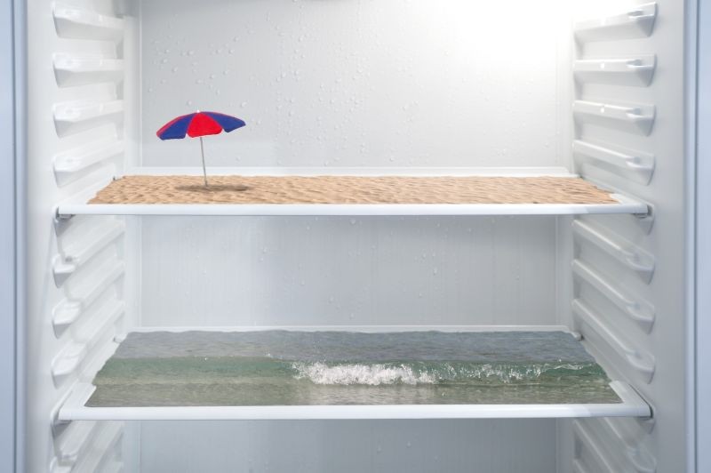 5 gestes à adopter pour préparer son réfrigérateur aux vacances