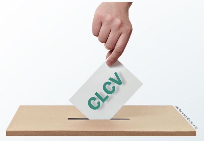 Elections HLM 2022 : 3 bonnes raisons de voter CLCV