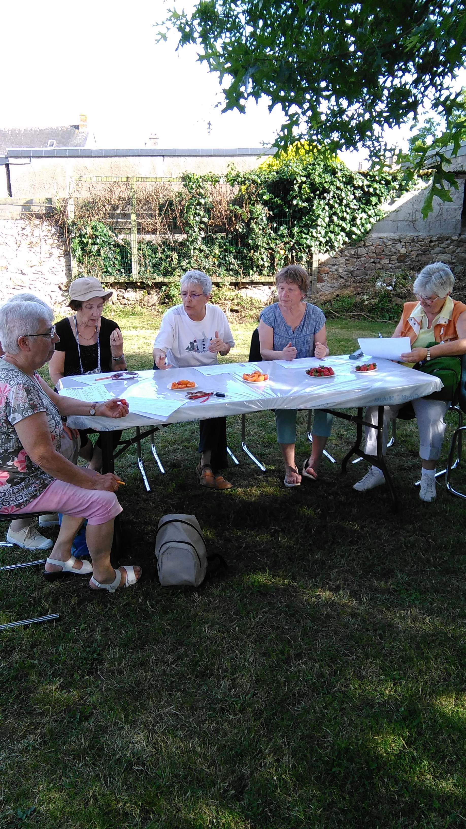 CLCV ST NAZAIRE - dégustation fraise - abricots - 27 06 2018 - 1