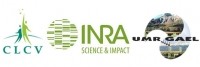 Logos CLCV INRA Laboratoire GAEL