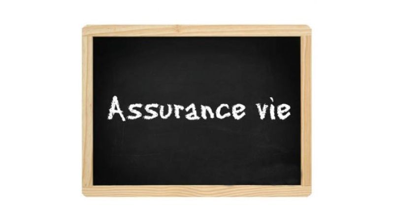 Enquête assurance vie :  petit vade-mecum de l’assurance vie 