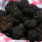 truffes