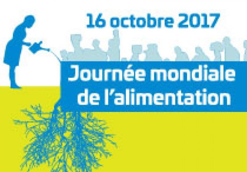 Journée mondiale de l'alimentation - Gaspillage alimentaire : des pistes pour agir