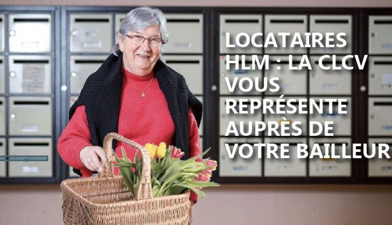 Interview : Moïse Renier, administrateur locataire