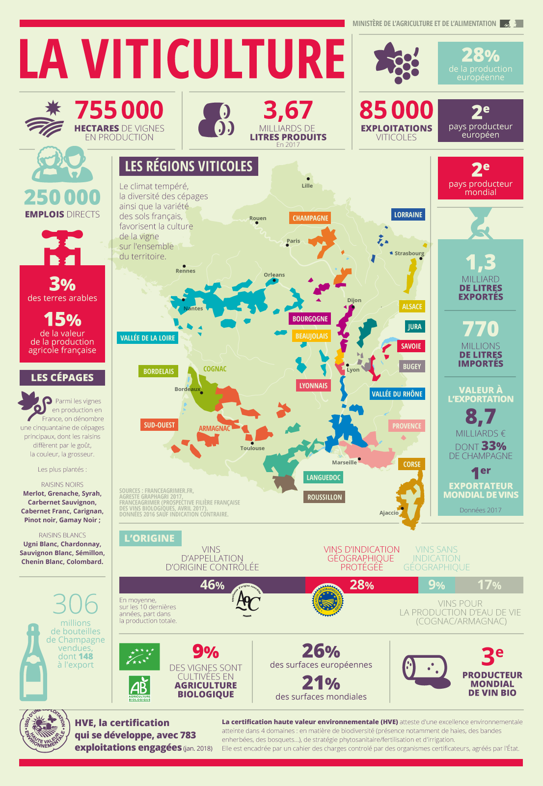 Viticulture