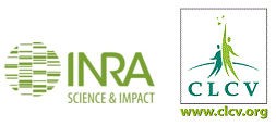 inra clcv logos