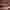 Essai image Flux