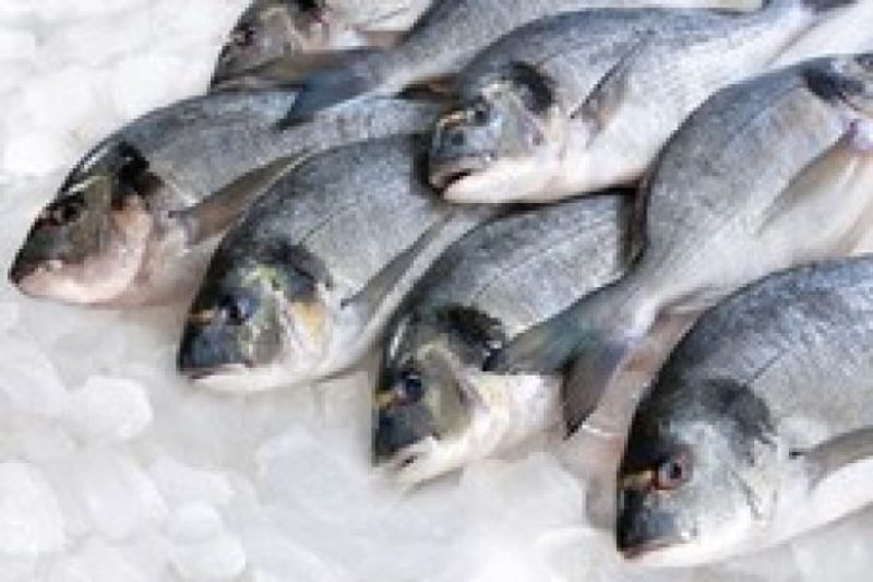 Fraude sur le poisson : la CLCV demande une enquête des services de contrôle