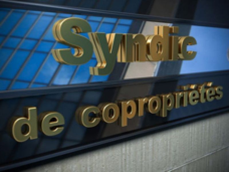 Mandat donné par un copropriétaire au syndic pour le choix du mandataire