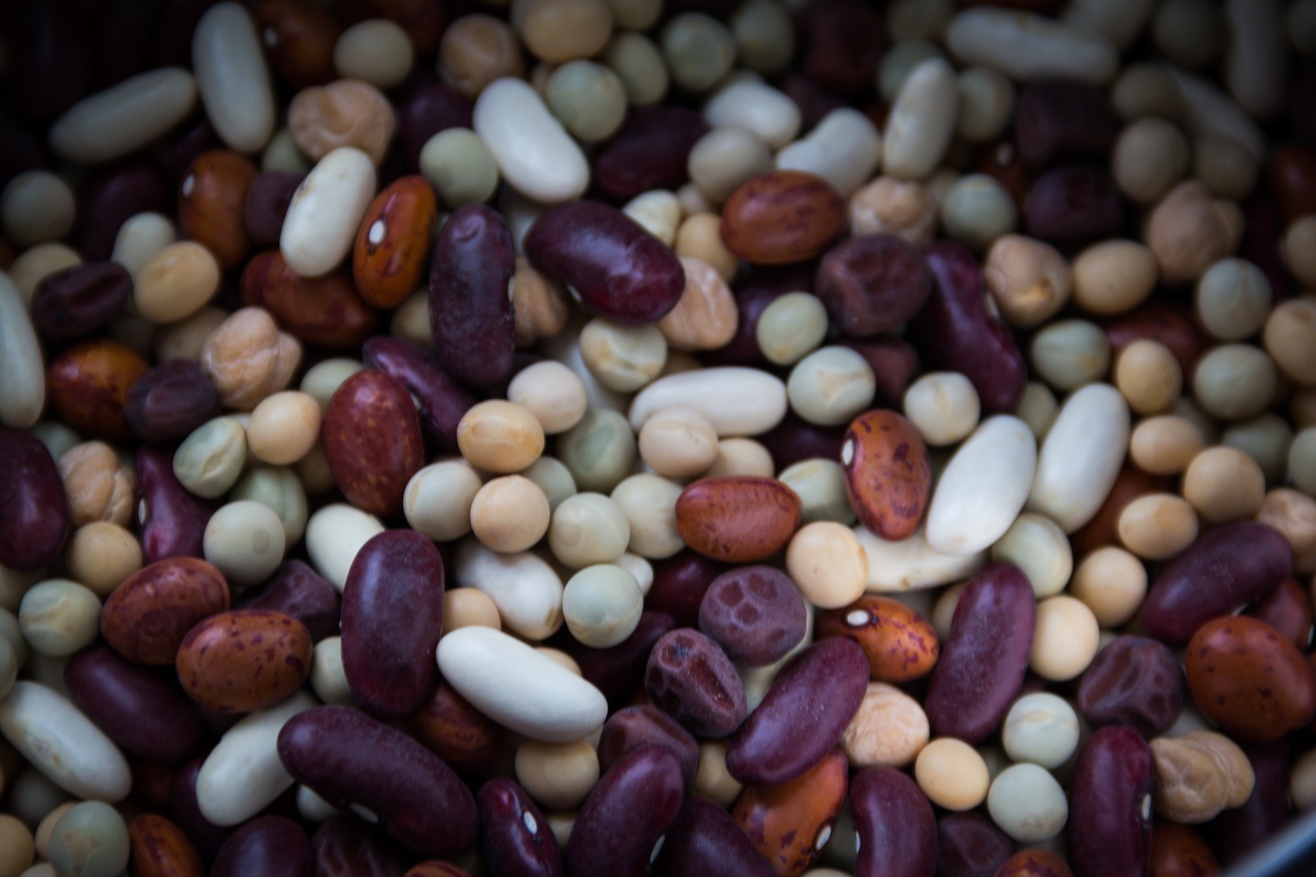 dried-beans-763158 1920