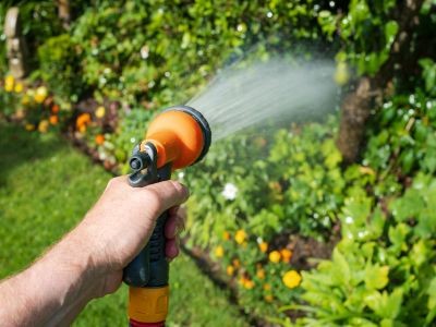 main tenant un tuyau d'arrosage d'où sort un jet d'eau qui se dirige vers une haie et des fleurs