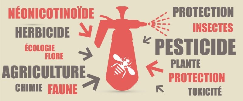 7 questions sur les pesticides