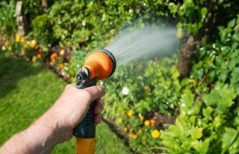 Restrictions d’eau : quels sont vos droits et obligations en cas de sécheresse ?