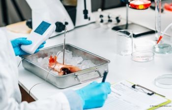 Cadmium dans l'alimentation : ce qu’il faut savoir