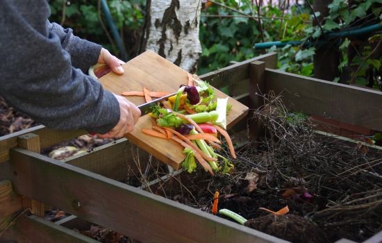 Compost : 5 erreurs à éviter
