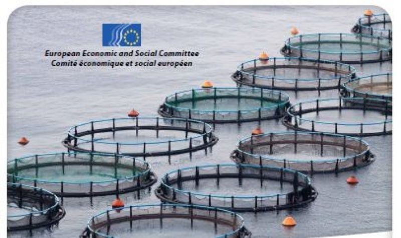 L'aquaculture en débat au Comité économique et social européen