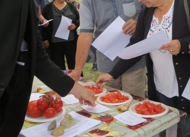 dégustation CLCV 2014