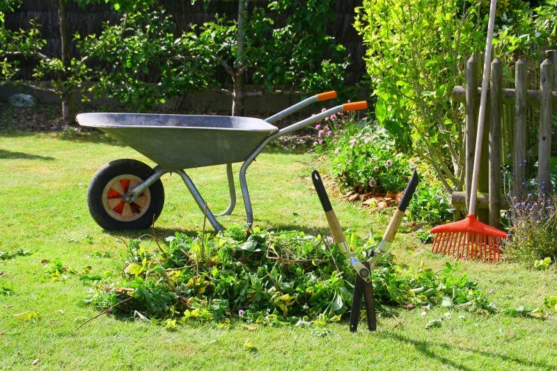 Jardin : comment valoriser mes déchets verts ?