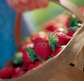 panier de fraises