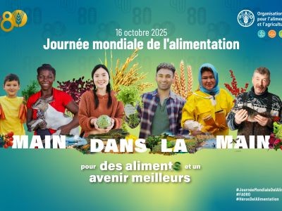 hommes femmes