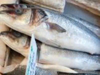 Etiquetage du poisson : ça pêche encore !
