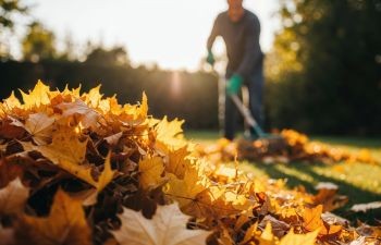 Automne : comment gérer les feuilles mortes… Et rester en bons termes avec vos voisins ?