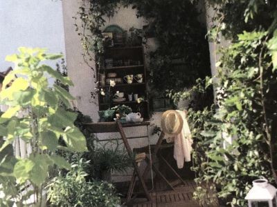 Plantes : que pouvez-vous planter sur votre balcon ?