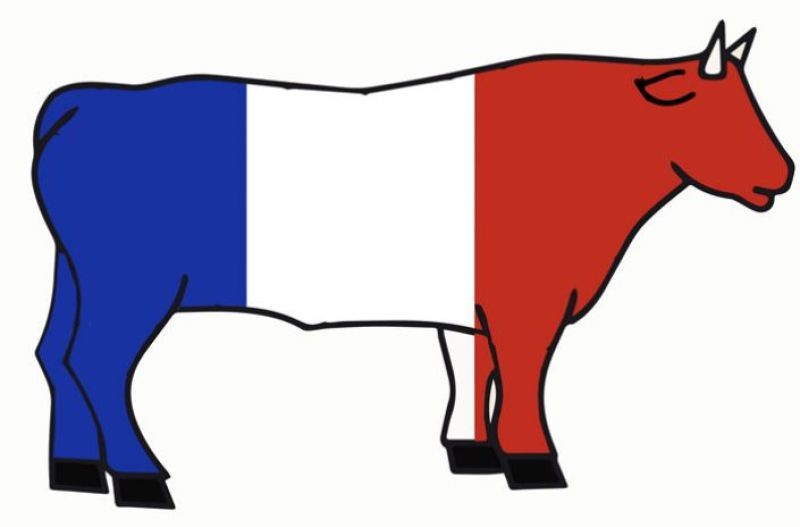 Plats préparés à base de bœuf - Origine tricolore de la viande