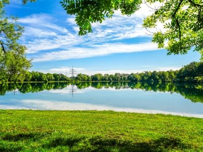 forêt lac