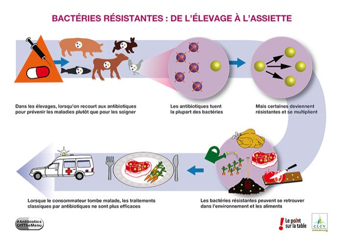 Bactéries-résistantes