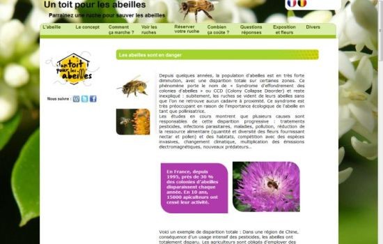 d9299a55f0c5236dd492e7ceb43e2665_XL.jpg